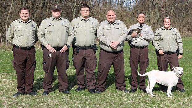 Cass County Animal Control offering curbside adoptions - Leader  Publications | Leader Publications