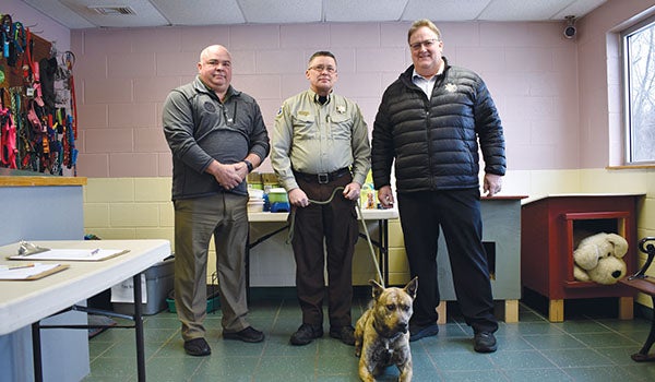 Cass County Animal Control saved 96 percent of cats, dogs in 2020